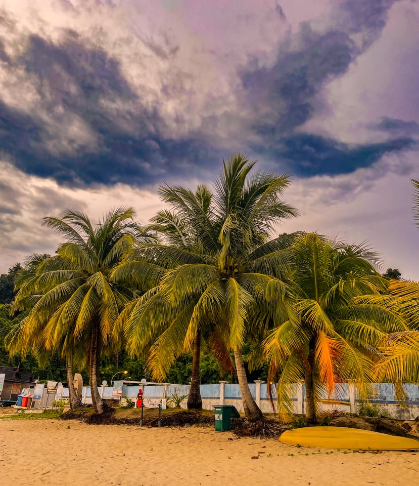 Palms lean over a beach beside a painted wall under piled cloud.