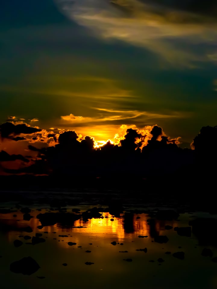 A low sun goes down behind a dark treeline, its light lying in a long band across still water.