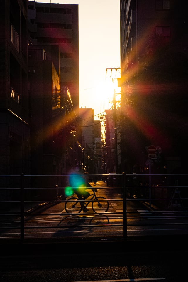 A cyclist crosses a narrow street in low evening sun.