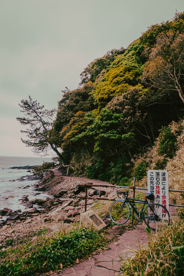 A road bicycle leans against the railing of a coastal path below a steep wooded slope.