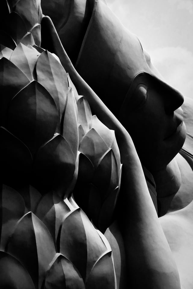 Sculpted lotus petals rise beside a calm carved face.