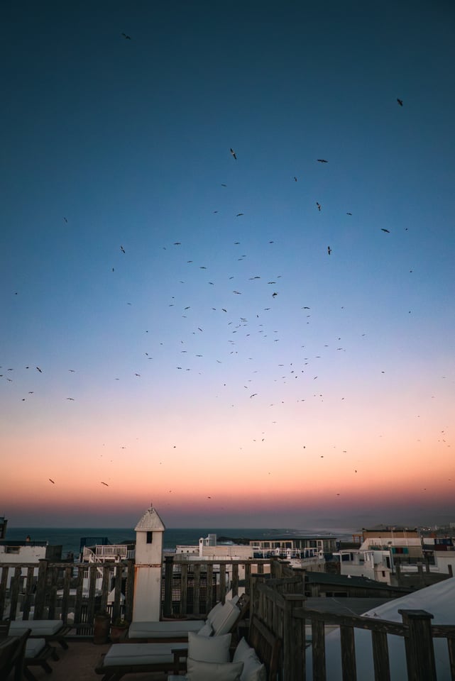 Birds scatter across a clear dusk sky above a minaret.
