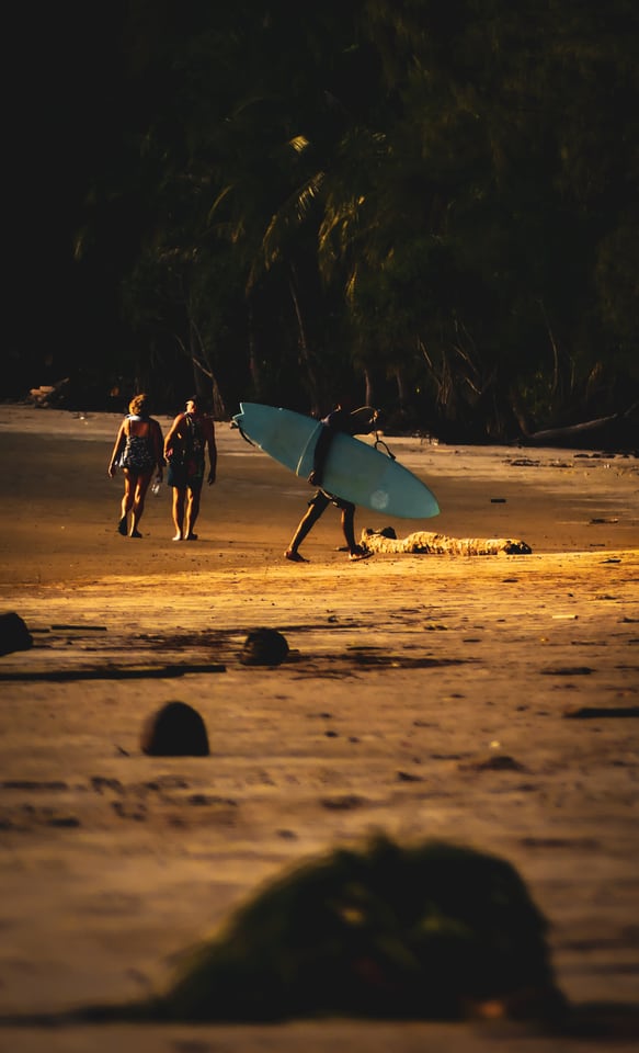 A person carries a pale blue surfboard across a beach on Koh Phayam while two people walk behind in the late light.